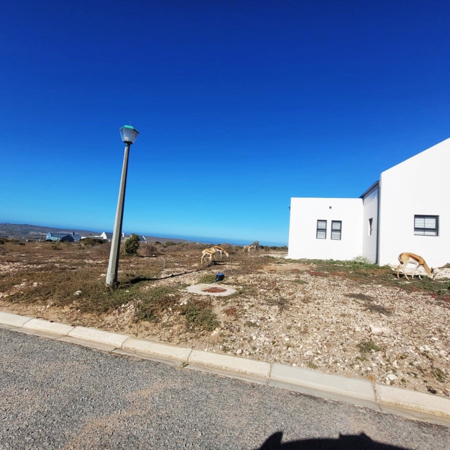 0 Bedroom Property for Sale in Hoogland Western Cape